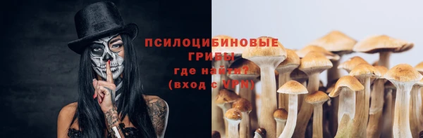 дживик Артём