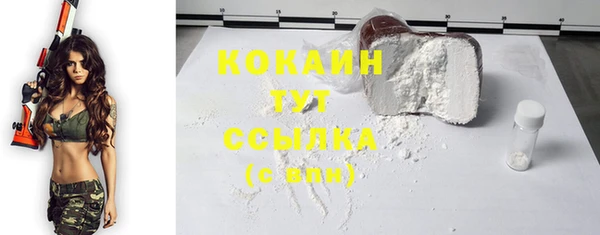 дживик Мегион