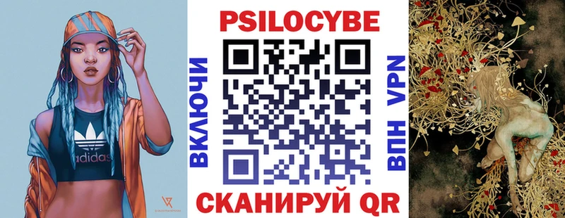 Псилоцибиновые грибы GOLDEN TEACHER Дно
